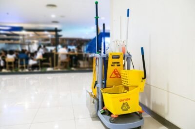 Cleanieup Cleaning Services