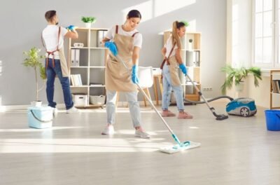 Cleanieup Cleaning Services