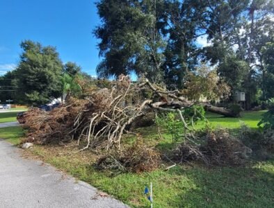 Brush Defenders Land Works LLC